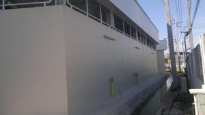 05.jpg
